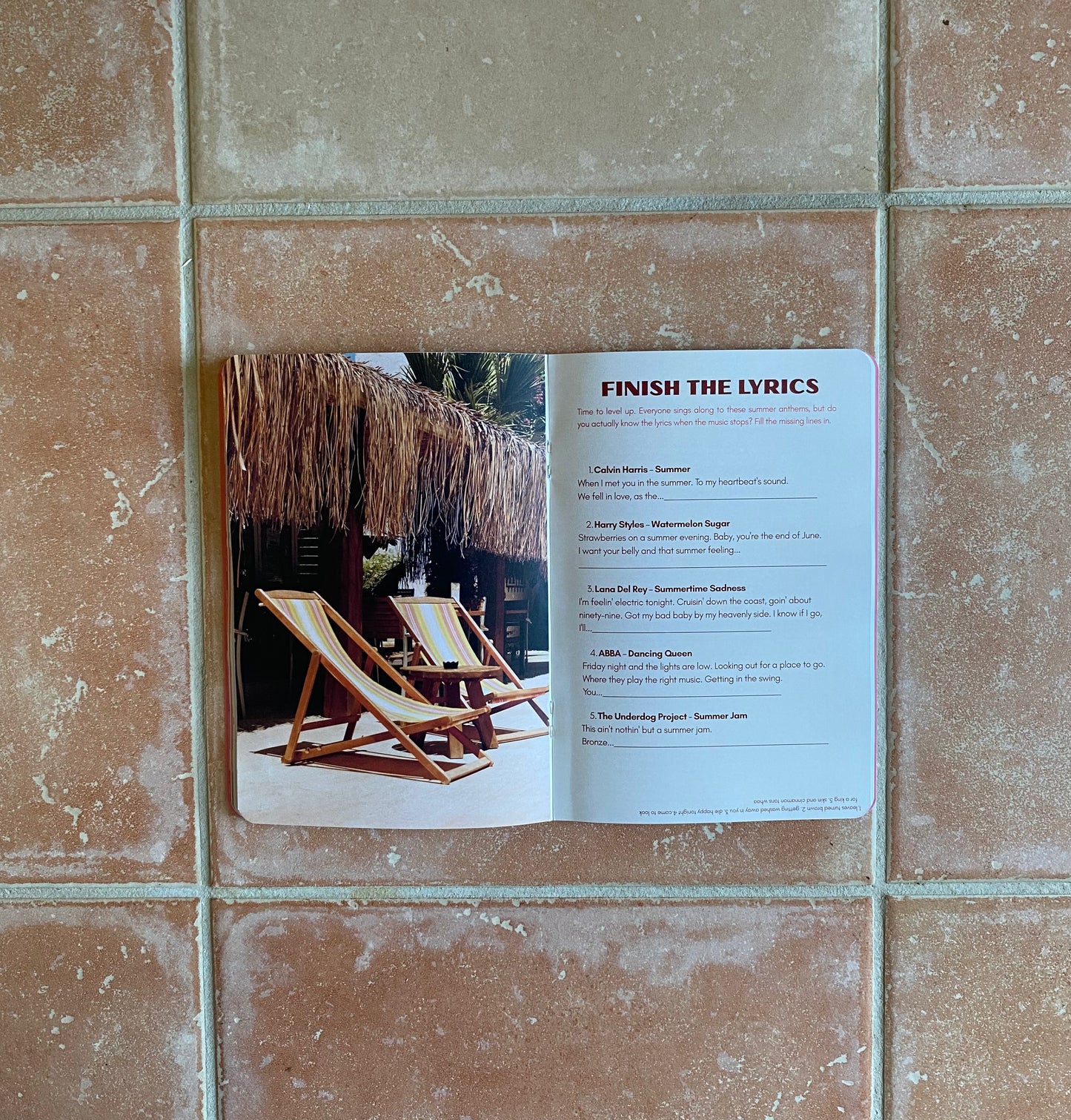 The Cabana Summer Book