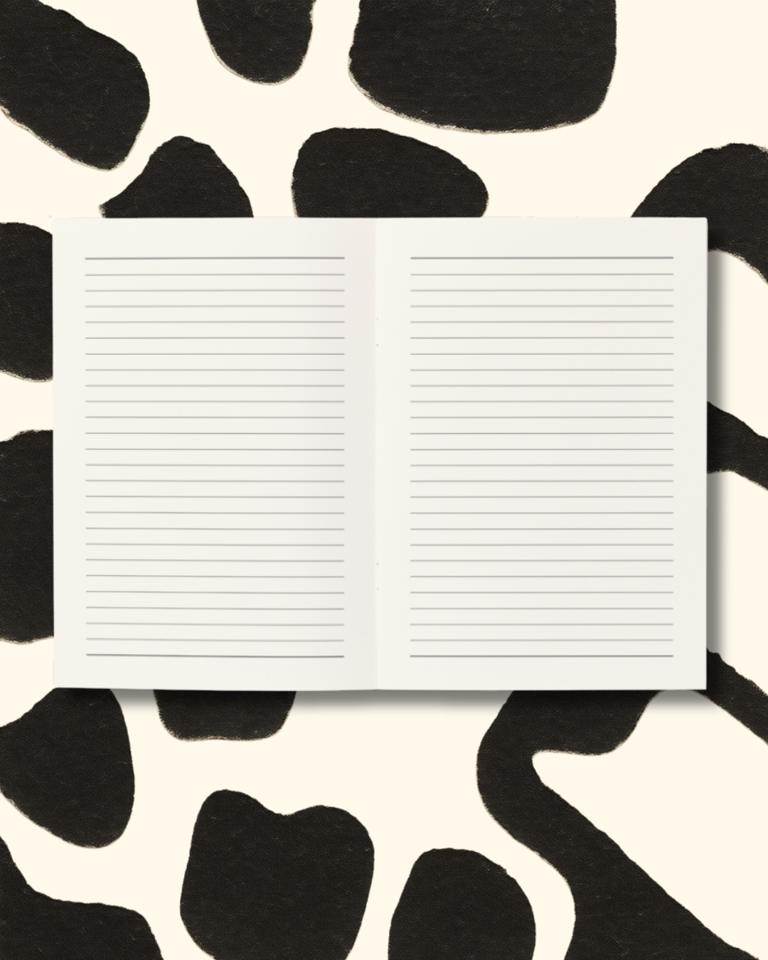 The Cabana Notes